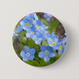 Badge Rond 5 Cm Oubliez-moi pas bouton