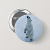 Badge Rond 5 Cm Ours blanc debout (Devant & derrière)