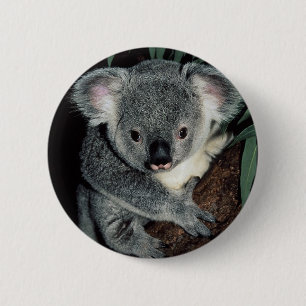 Badge Rond 5 Cm Ours de koala mignon