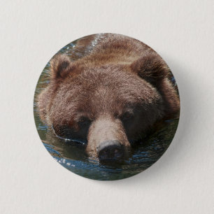 Badge Rond 5 Cm Ours grizzly