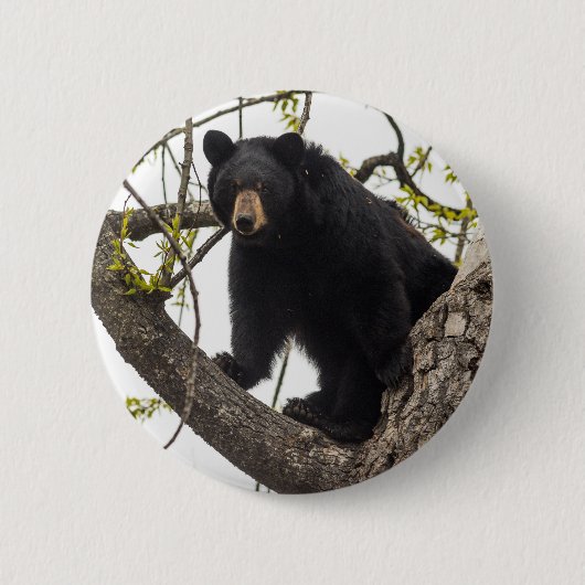 Badge Rond 5 Cm Ours noir Escalade (Devant)