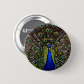 Badge Rond 5 Cm Pacock (Devant & derrière)