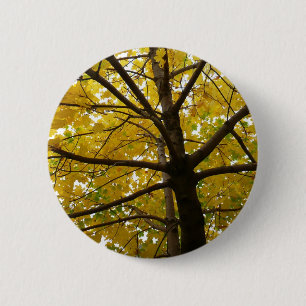 Badge Rond 5 Cm Paire d'érables jaunes Automne Nature