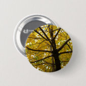 Badge Rond 5 Cm Paire d'érables jaunes Nature d'automne (Devant & derrière)