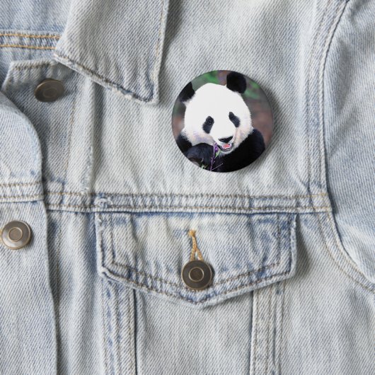 Badge Rond 5 Cm Panda (En situation)