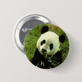 Badge Rond 5 Cm Panda (Devant & derrière)