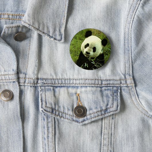 Badge Rond 5 Cm Panda (En situation)