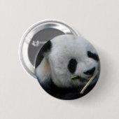 Badge Rond 5 Cm Panda (Devant & derrière)