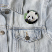 Badge Rond 5 Cm Panda géant aux boutons. Panda. (En situation)