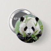 Badge Rond 5 Cm Panda géant aux boutons. Panda. (Devant & derrière)