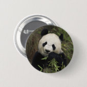 Badge Rond 5 Cm Panda géant mignon (Devant & derrière)