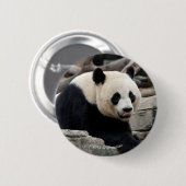 Badge Rond 5 Cm Panda géant sur des roches (Devant & derrière)