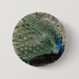 Badge Rond 5 Cm Paon