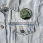 Badge Rond 5 Cm Paon (En situation)