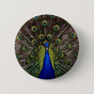 Badge Rond 5 Cm paon