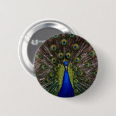Badge Rond 5 Cm paon (Devant & derrière)