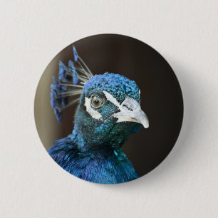 Badge Rond 5 Cm paon