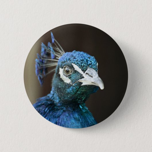 Badge Rond 5 Cm paon (Devant)