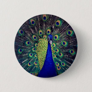 Badge Rond 5 Cm Paon bleu cobalt