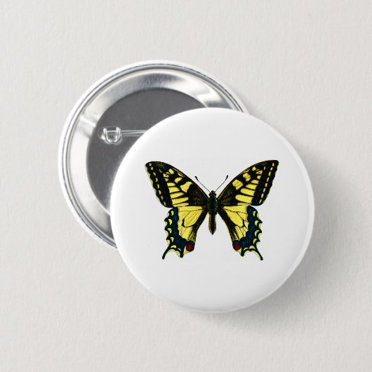 Badge Rond 5 Cm Papilio machaon (Devant & derrière)