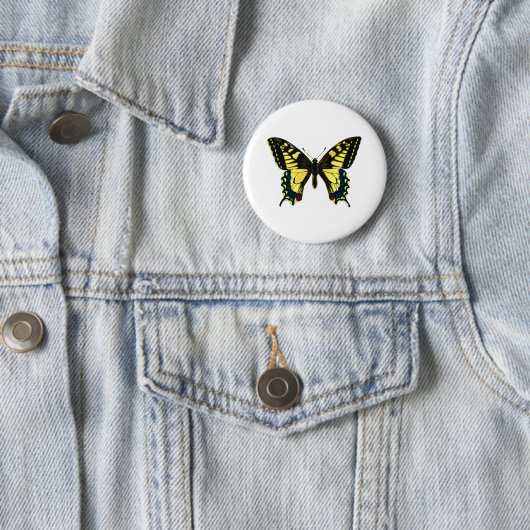Badge Rond 5 Cm Papilio machaon (En situation)