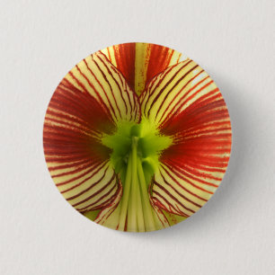 Badge Rond 5 Cm Papillon Amaryllis