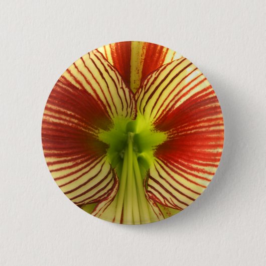 Badge Rond 5 Cm Papillon Amaryllis (Devant)