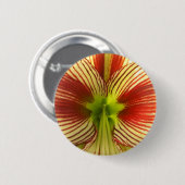 Badge Rond 5 Cm Papillon Amaryllis (Devant & derrière)