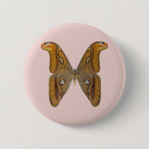 Badge Rond 5 Cm Papillon atlas