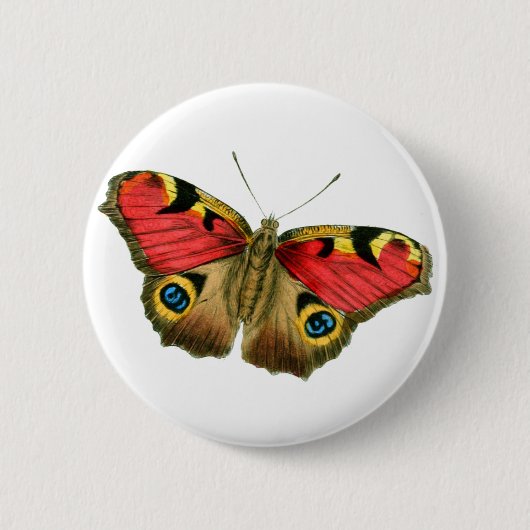 Badge Rond 5 Cm Papillon coloré (Devant)