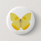 Badge Rond 5 Cm Papillon commun de jaune d'herbe (Devant)
