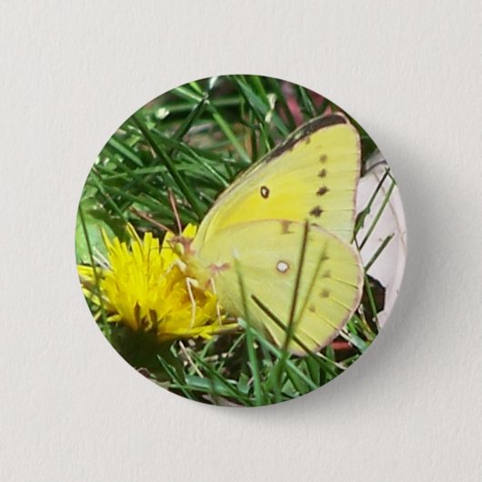 Badge Rond 5 Cm Papillon Dandelion (Devant)