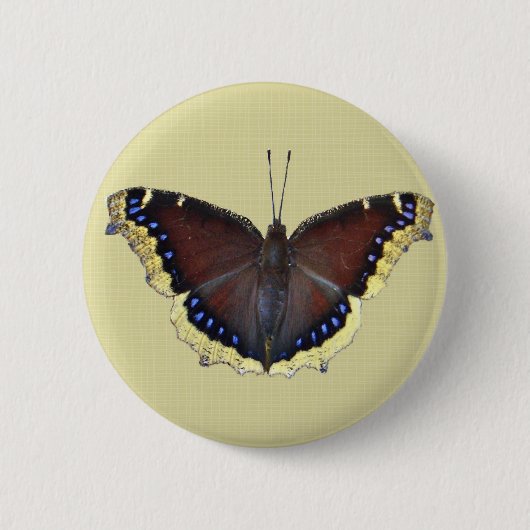 Badge Rond 5 Cm Papillon de manteau de deuil - antiopa de (Devant)