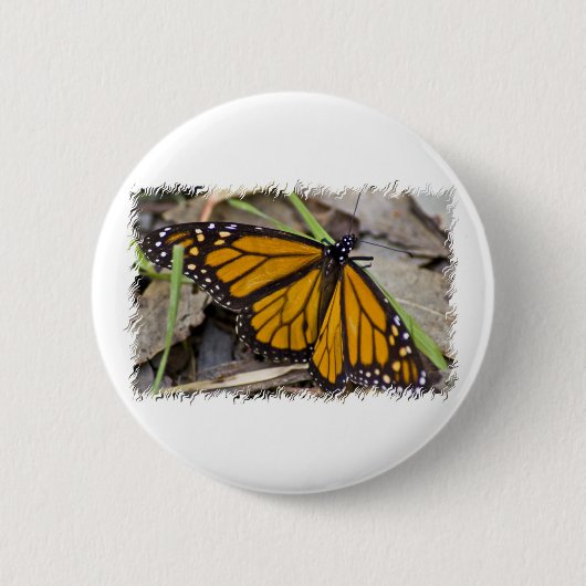 Badge Rond 5 Cm Papillon de monarque (Devant)