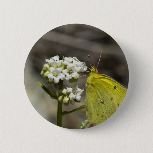 Badge Rond 5 Cm Papillon jaune (Devant)