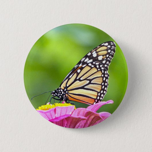 Badge Rond 5 Cm Papillon monarque (Devant)