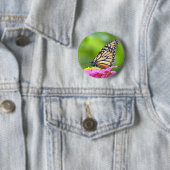 Badge Rond 5 Cm Papillon monarque (En situation)