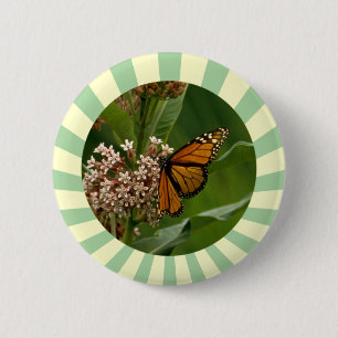 Badge Rond 5 Cm Papillon monarque