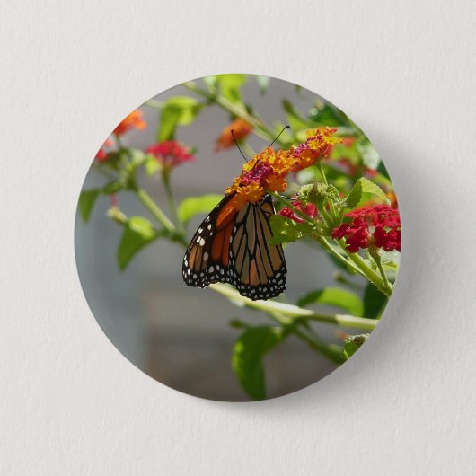 Badge Rond 5 Cm Papillon monarque sur le papillon rouge Bush (Devant)