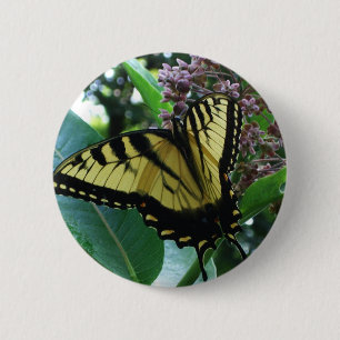 Badge Rond 5 Cm Papillon Swallowtail I sur Asclépiade à Shenandoah