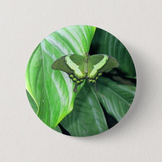 Badge Rond 5 Cm Papillon vert (Devant)