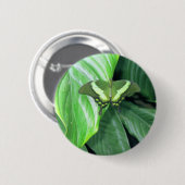 Badge Rond 5 Cm Papillon vert (Devant & derrière)