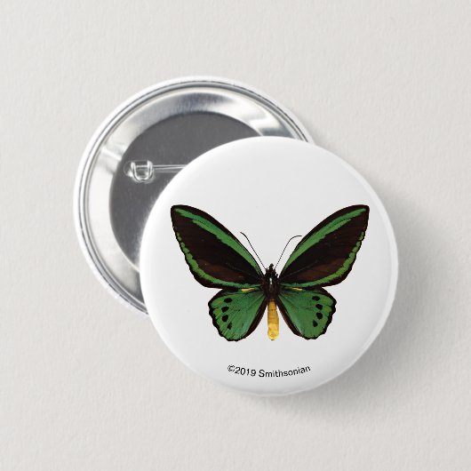 Badge Rond 5 Cm Papillon vert de Birdwing (Devant & derrière)