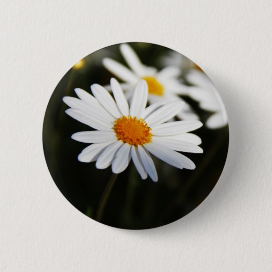 Badge Rond 5 Cm Pâquerette (Devant)