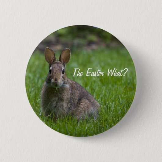 Badge Rond 5 Cm Pâques ce qui ? Bouton (Devant)