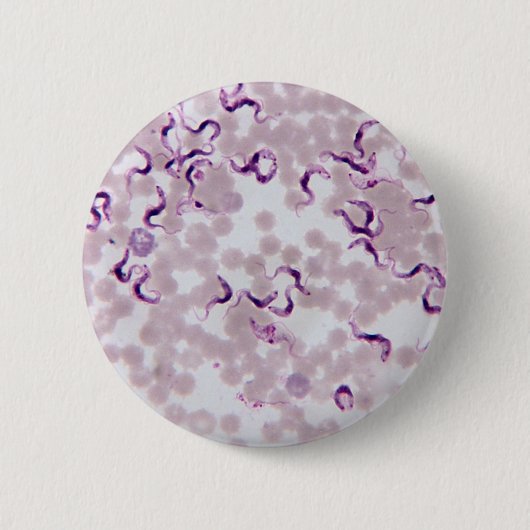 Badge Rond 5 Cm Parasite Trypanosoma de sang (Devant)