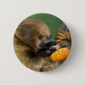 Badge Rond 5 Cm Paresse avec le citrouille (Devant)