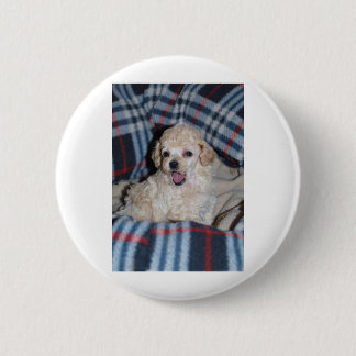 Badge Rond 5 Cm Parler de chiot de caniche de jouet