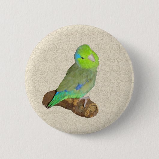 Badge Rond 5 Cm Parrotlet mâle vert (Devant)