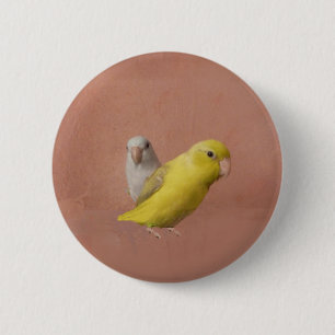 Badge Rond 5 Cm Parrotlets